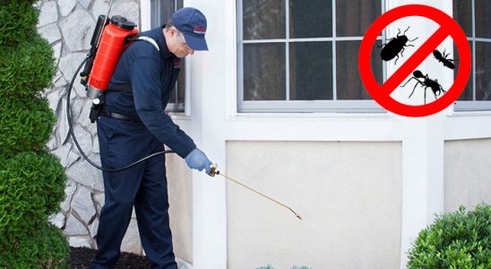 Altındağ Dezenfeksiyon böcek ilaçlama ve haşere kontrolü — ilaclama-tr.com